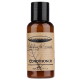 Botanika conditioner
