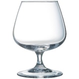 Arcoroc DP095