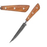 Comas Montblanc DY410