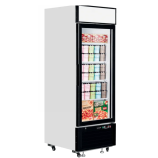 Tefcold LGF2500