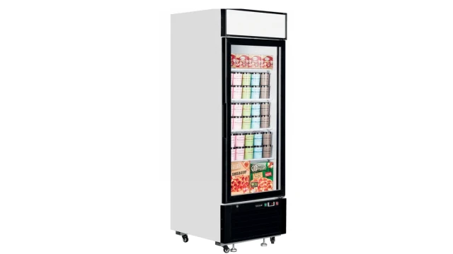 Tefcold LGF2500