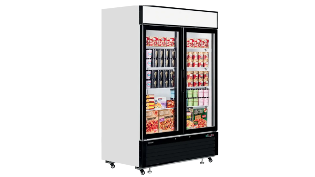 Tefcold LGF5000