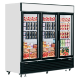 Tefcold NF7500G