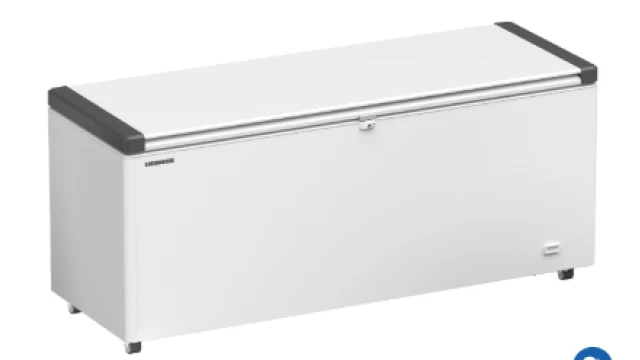 Liebherr EFL 6055-21