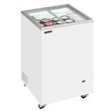 Tefcold IC 102SC