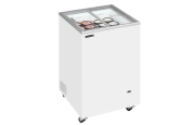 Tefcold IC 102SC
