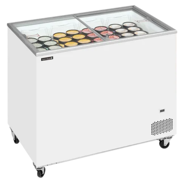Tefcold IC300SC