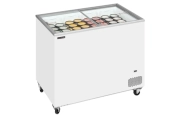 Tefcold IC300SC