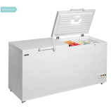 Tefcold FR606SL