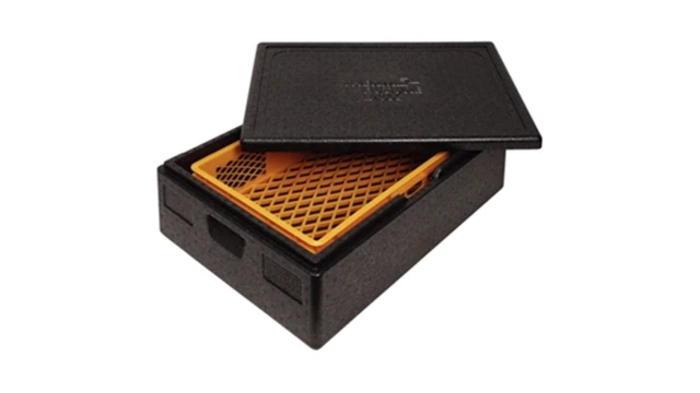 Thermo Future Box DL994